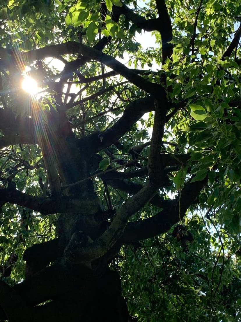 Фотография поста