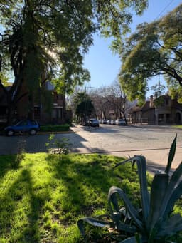 Утренний Буэнос Айрес image preview