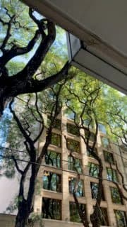 Латиноамериканский человек-паук с бензопилой! image preview