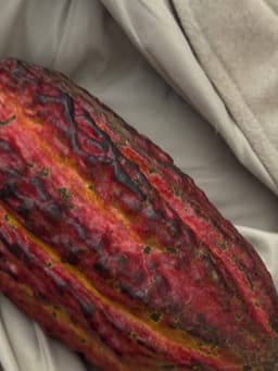 Вчера на рынке купил у перуанцев какао, как... image preview