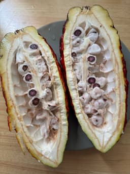 Попробовал какао. Оказалось, что его можно... image preview