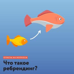 @camila_visionary примеры ребрендинга image preview