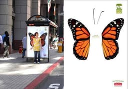 Промо кампания зоопарка в Сан‑Франциско image preview