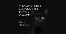 Сайт кота-потеряшки на Tilda image preview