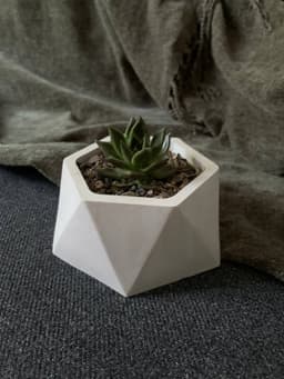 Производство и продажа горшков для суккулентов image preview