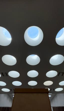 Оформление двух залов с естественным светом image preview