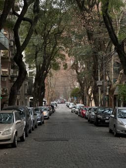 Город контраста — впечатления от Аргентины image preview