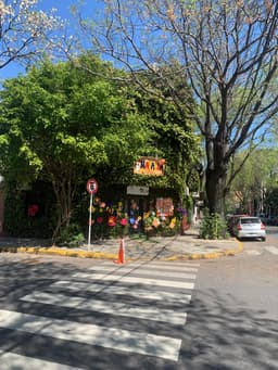 Смена сезонов и внутренние изменения при переезде в Аргентину image preview