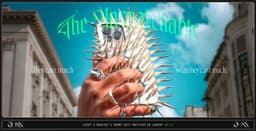 Чехол от воровства image preview