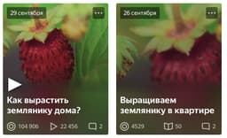 Яндекс Дзен запустил видео-формат публикаций image preview