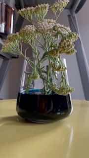 Фотография поста