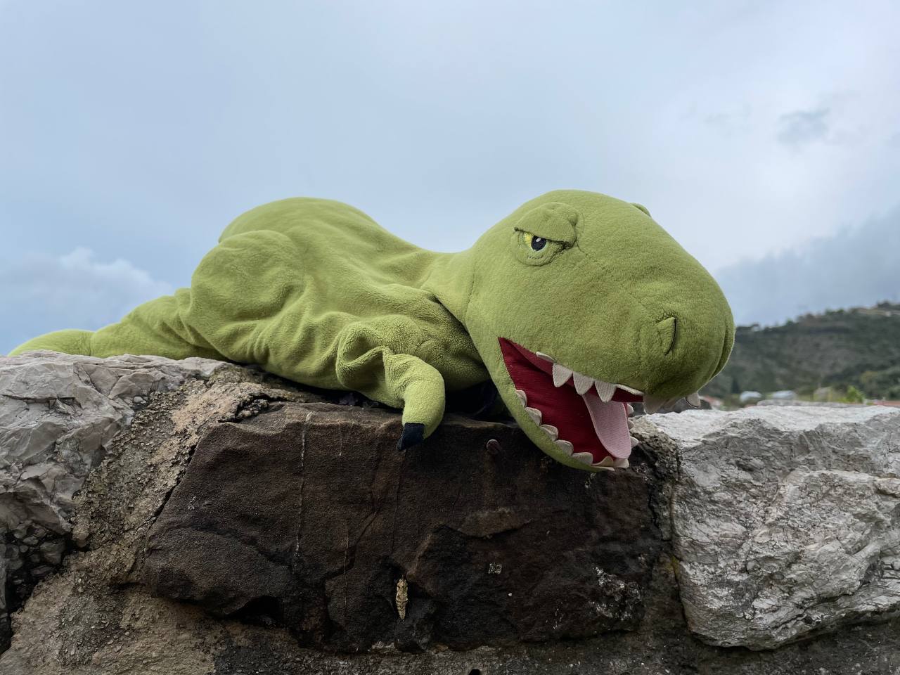 Фотография поста