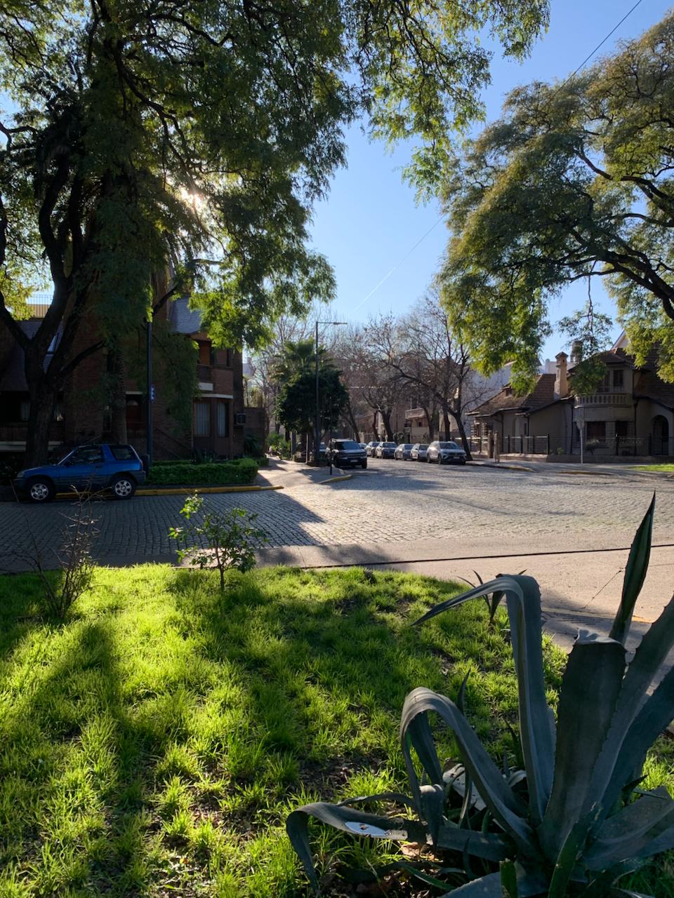 Утренний Буэнос Айрес image preview