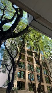 Латиноамериканский человек-паук с бензопилой! image preview