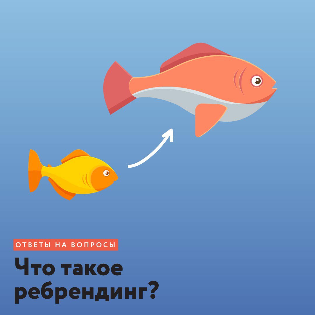 @camila_visionary примеры ребрендинга image preview