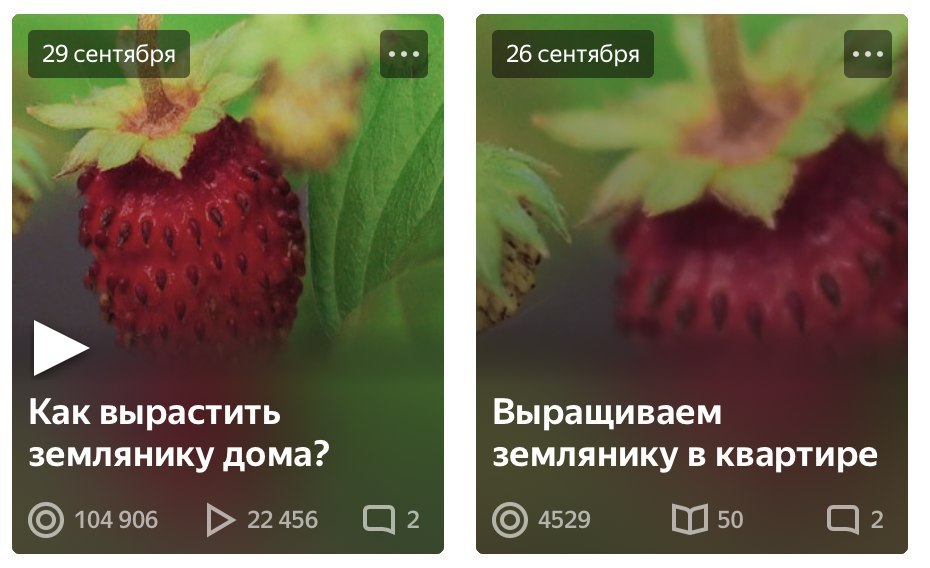 Яндекс Дзен запустил видео-формат публикаций image preview