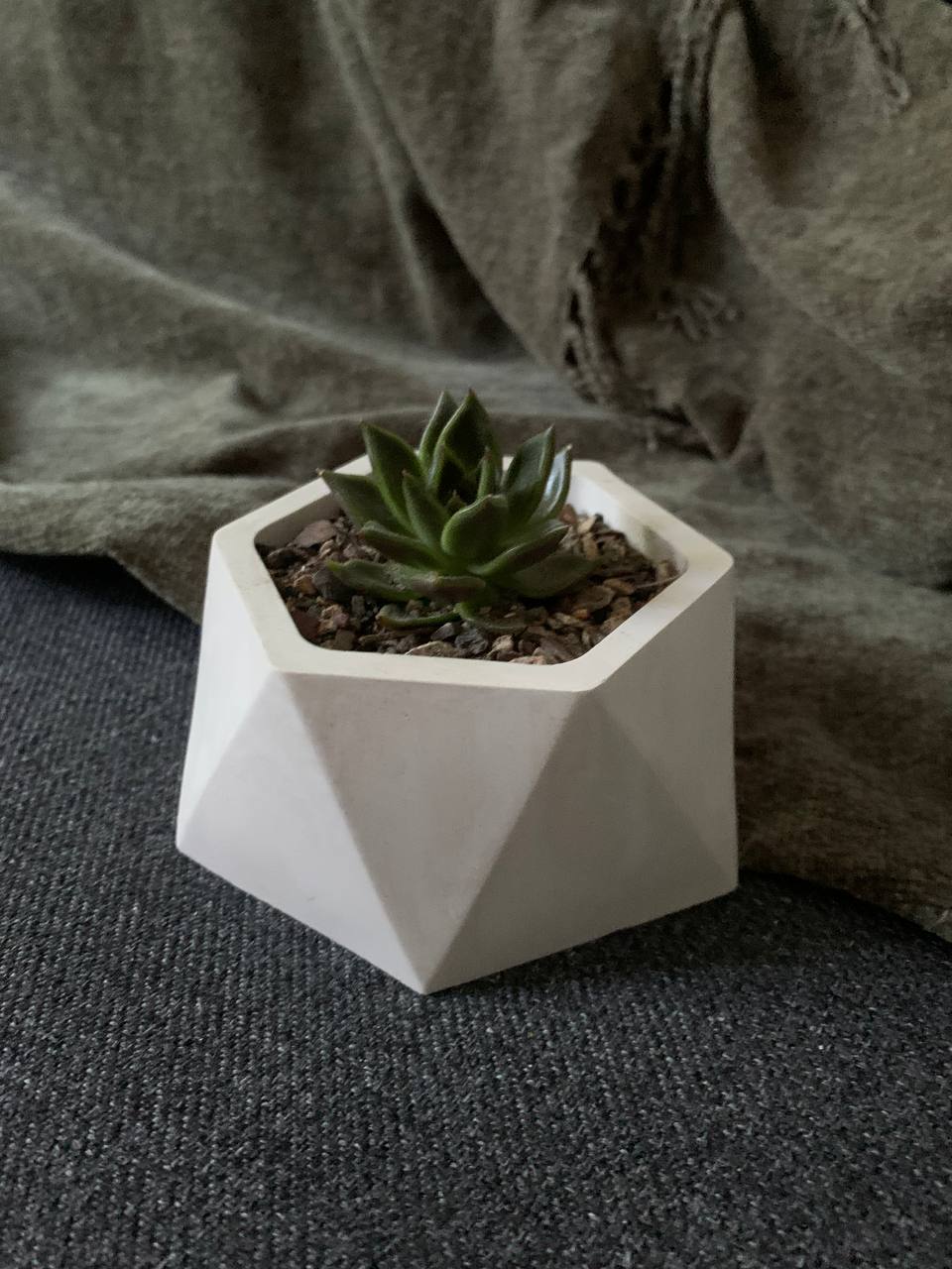 Производство и продажа горшков для суккулентов image preview