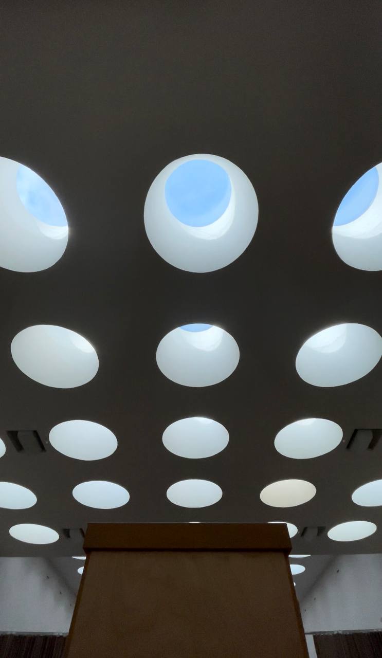 Оформление двух залов с естественным светом image preview