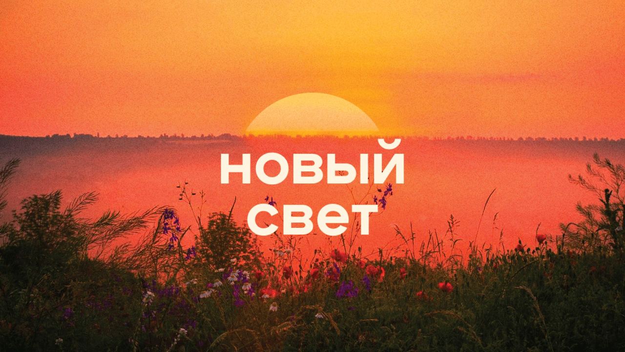 Новый фирменный стиль для центра реабилитации Новый свет image preview