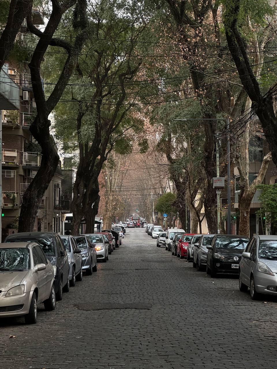 Город контраста — впечатления от Аргентины image preview